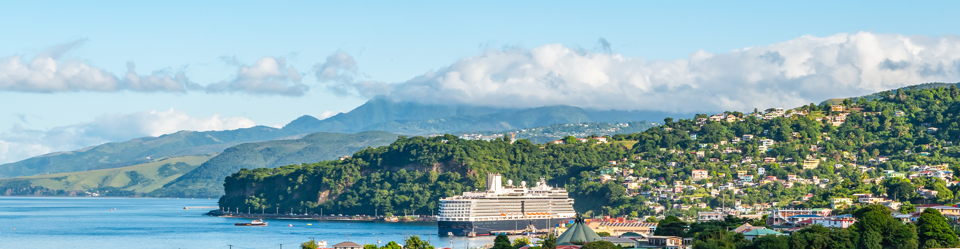 Vesta Global Dominica